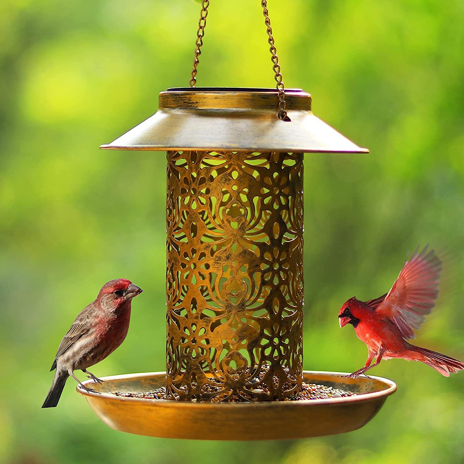 Outdoor Lighting Ideas For Backyard - Metalowy domek dla ptaków do zawieszenia