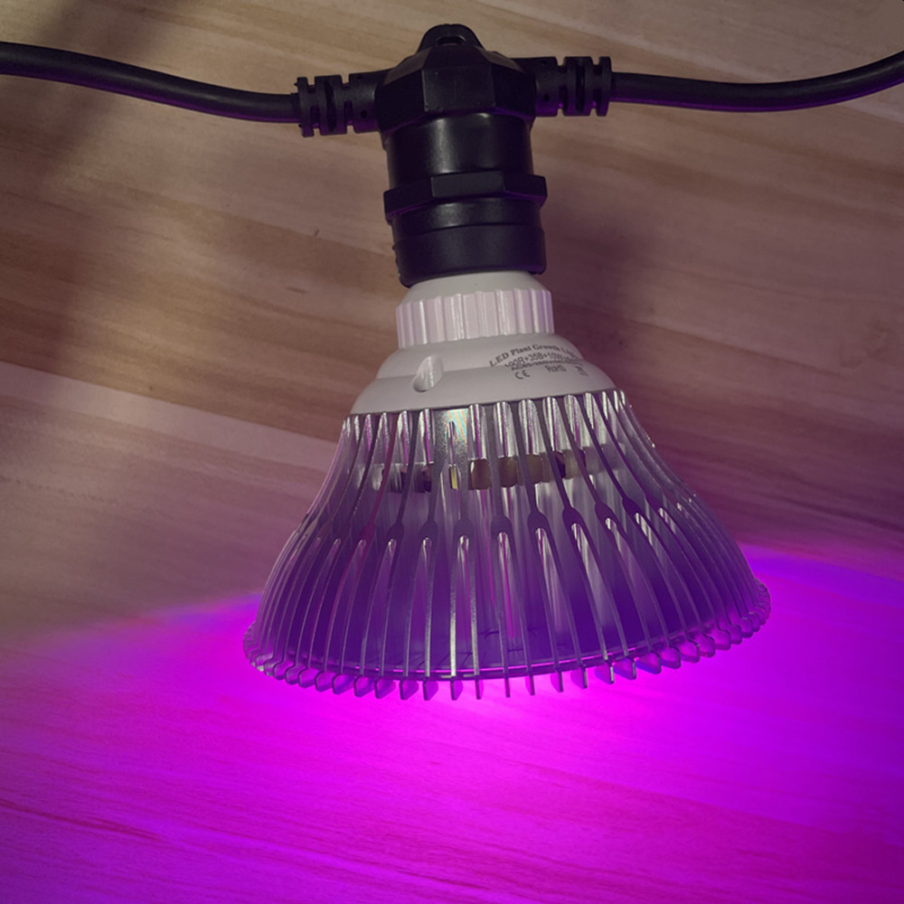 10M Kabel LED, komercyjna jako – Outdoor Lighting Extension Cord recenzja i cena
